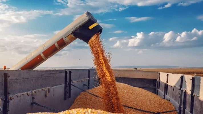 Чи надовго Польща збереже ембарго на українське зерно?