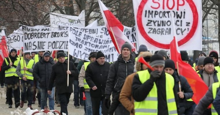24 січня польські фермери готують протест проти імпорту зерна з України