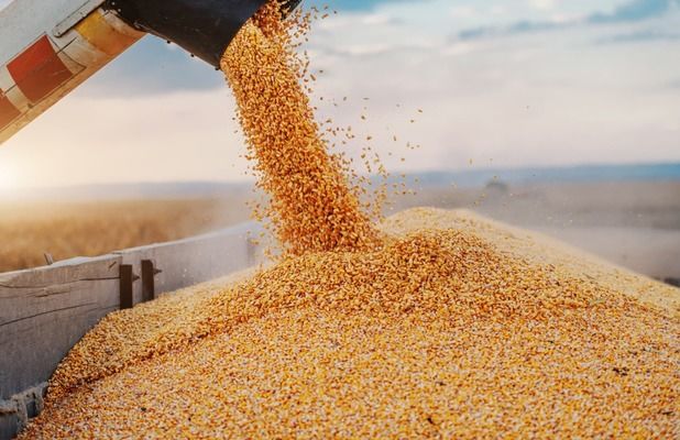 Украина предложила Польше механизм верификации экспорта агропродукции