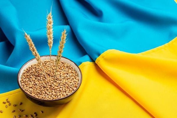 Судно з українським зерном прибуло до Нігерії