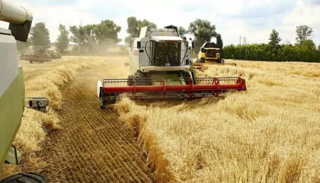 Скільки тонн зернових зібрали в Україні?