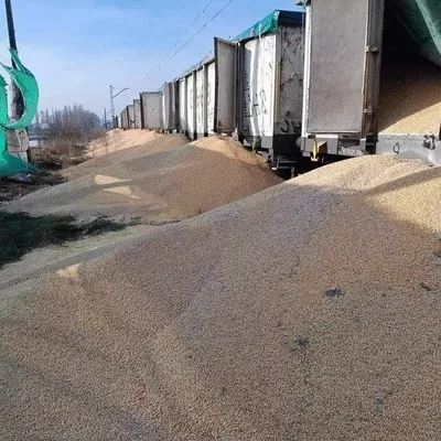 В Польше снова повредили украинское зерно: Украина заявила о диверсии