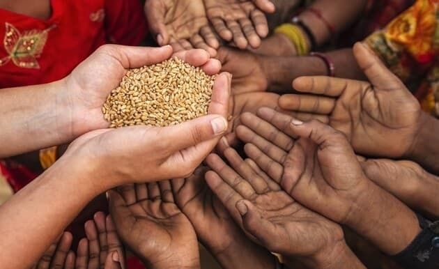 Росія заявляє про виконання обіцянки відправити безкоштовне зерно до Африки