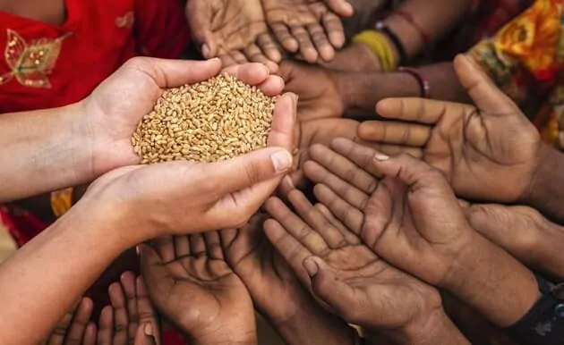 Россия заявляет о выполнении обещания отправить бесплатное зерно в Африку