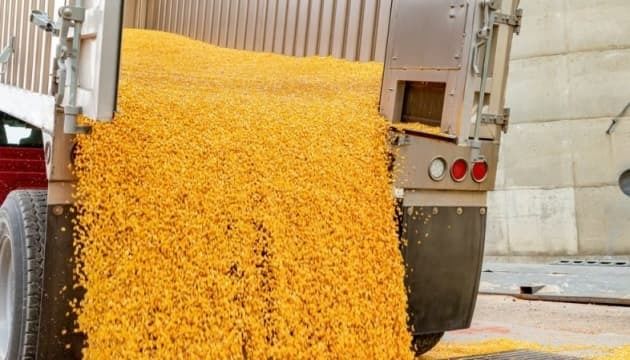 Транзит українського зерна через польський кордон скоротився удвічі
