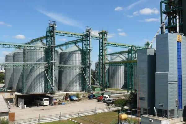 Элеваторы "Агрейн" приняли более 500 тысяч тонн зерна нового сезона