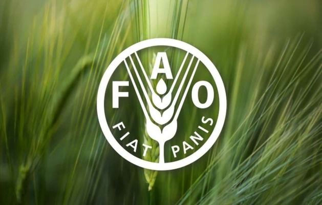 Мінагрополітики та аграрні асоціації незадоволені роботою FАО в Україні