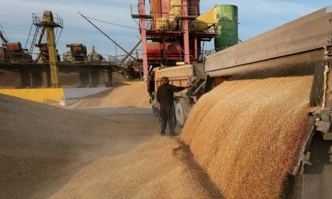 Украинский экспорт зерновых в ЕС возобновился до довоенного уровня