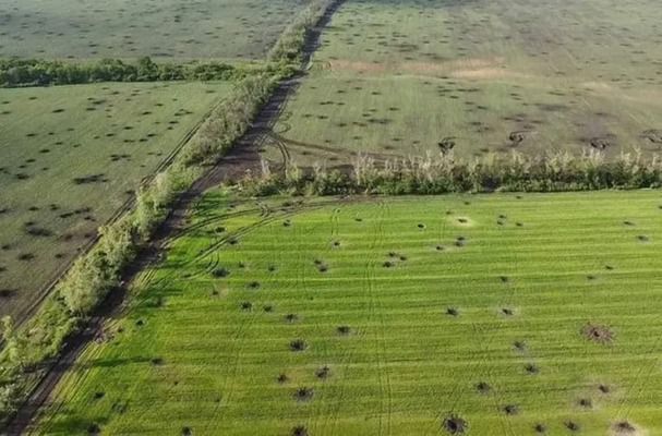 Украинские саперы вернули аграриям почти 74 тысяч гектаров земель с начала года