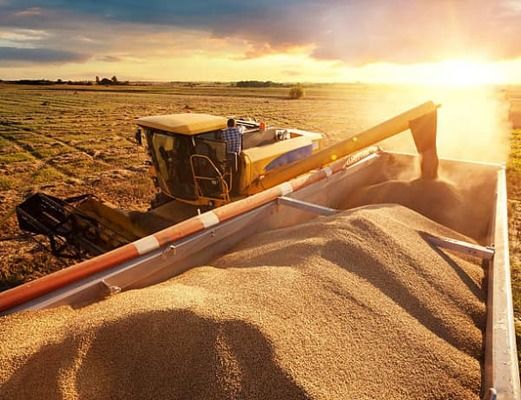 Угорщина запровадить нові обмеження на імпорт української сільськогосподарської продукції