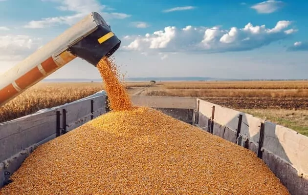 В Украине ликвидированы "серые" схемы экспорта зерна