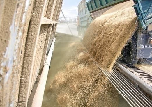 В Польше Зерновая палата предлагает частичное снятие блокады импорта украинского зерна