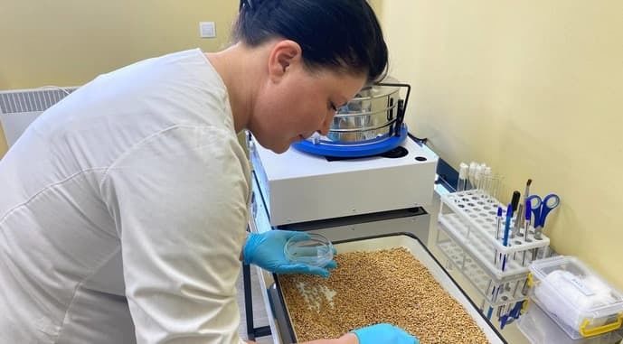 В Одесской области открыли лабораторию для контроля экспорта зерна по Дунаю