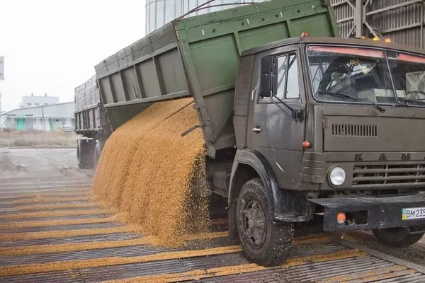 Нібулон планує розширити флот зерновозів