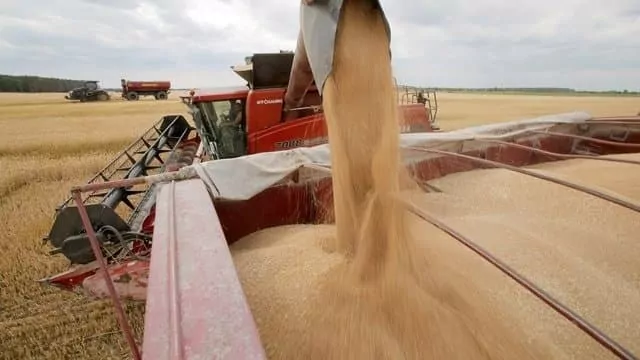 Украина в 2023 году собрала рекордный урожай зерновых и масличных культур