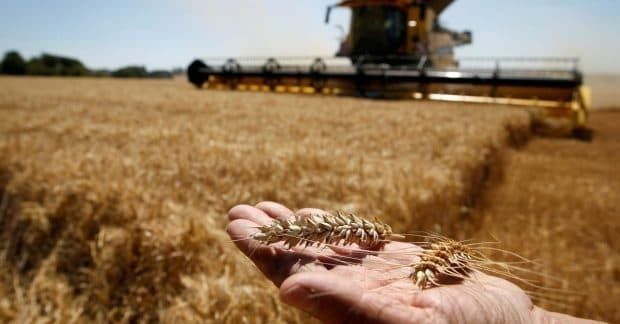 Украина установила экспортный рекорд агропродукции во время войны