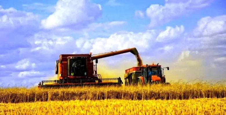 Из-за изменения климата аграрии юга Украины готовятся к ранней жатве