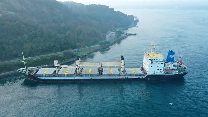 Движение судов по Босфору приостановлено: на мель села грузовое судно