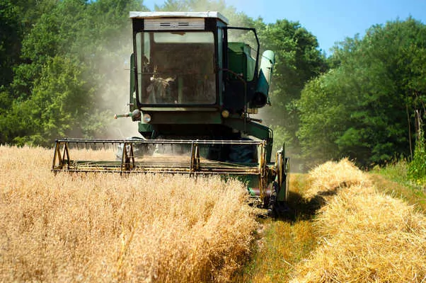 Економічні переваги володіння зернозбиральним комбайном: інвестиція у власне господарство 