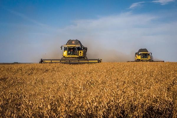 USDA прогнозує зниження врожаю зернових в Україні