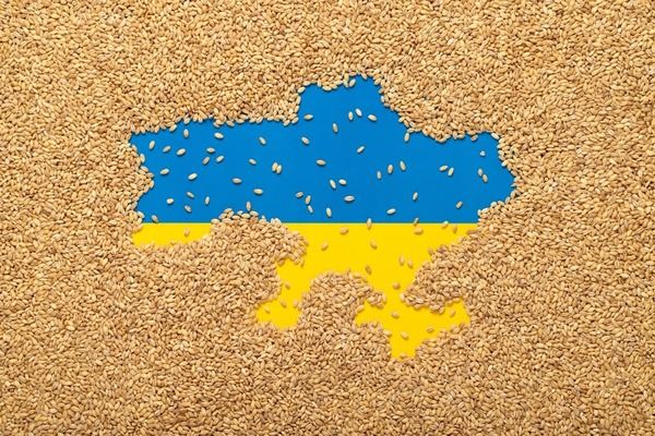 Программа Grain from Ukraine будет расширена на другие виды продовольствия