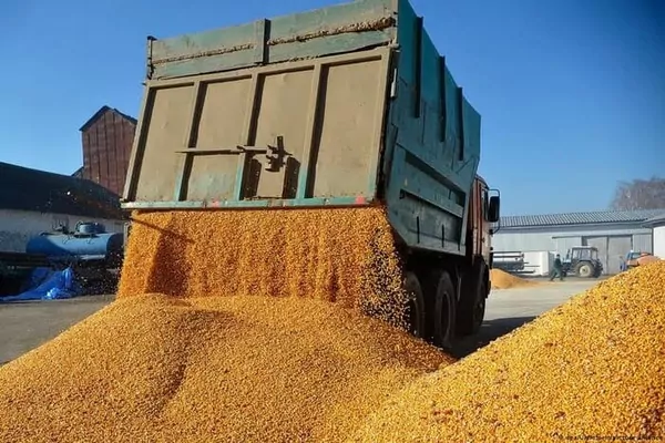 Экспорт украинской агропродукции автотранспортом продолжает расти