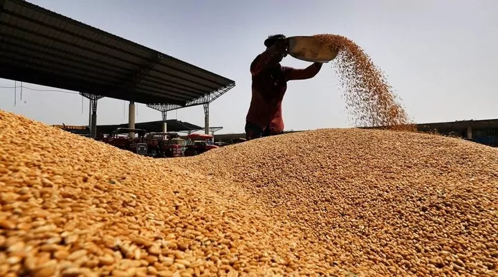 Украина экспортировала 49 миллионов тонн зерна с начала сезона