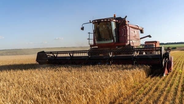 Турция может продлить запрет на импорт пшеницы до конца 2024 года