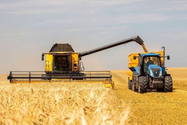 Україна експортувала вже 315 тисяч тонн зернових з нового врожаю