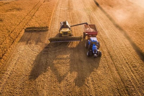 Тепла погода в Україні значно посприяла розвитку та збиранню хорошого врожаю