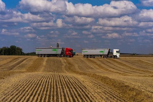 Урожай в Україні продовжує падати, – новий прогноз від УЗА