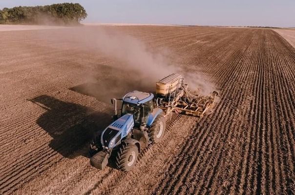 Китай собрал рекордный урожай яровых культур