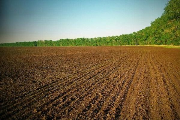 В Україні створено перший державний земельний банк