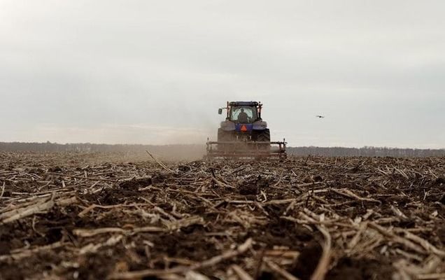 Долгая и влажная зима нанесла британским фермерам рекордный ущерб