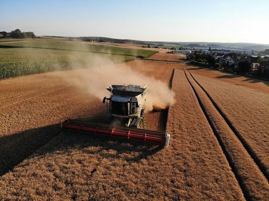 Франція зіткнулася з найгіршим урожаєм пшениці за 40 років