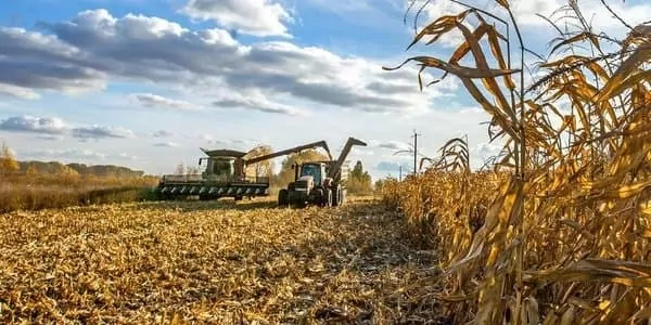 Експорт української агропродукції демонструє стійке зростання