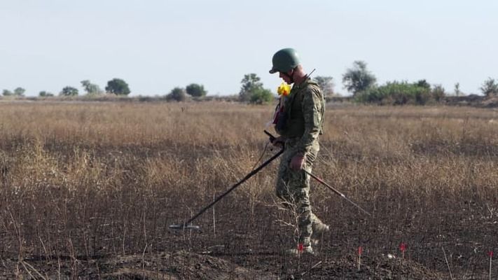 Более 230 тысяч гектаров сельскохозяйственных угодий уже разминированы