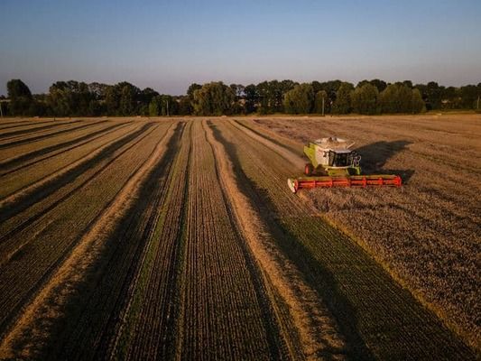 Українські аграрії зібрали рекордний урожай зернових