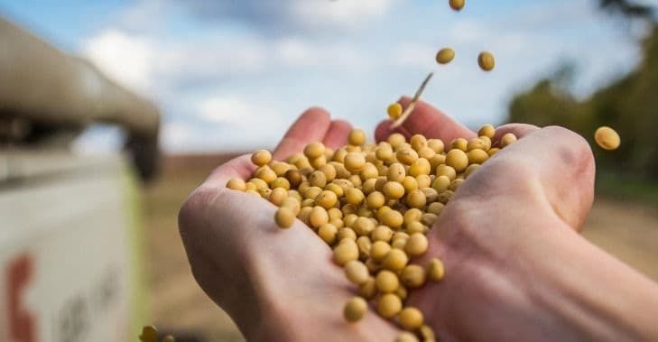 Бразилія збирається побити рекорд виробництва сої