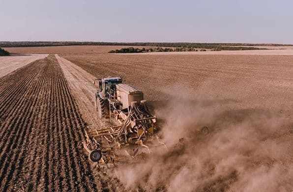 В Україні озимими засіяно 90% запланованих площ