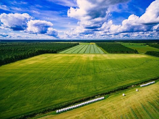 Земельный банк вывел из тени более 1100 га земли в Украине