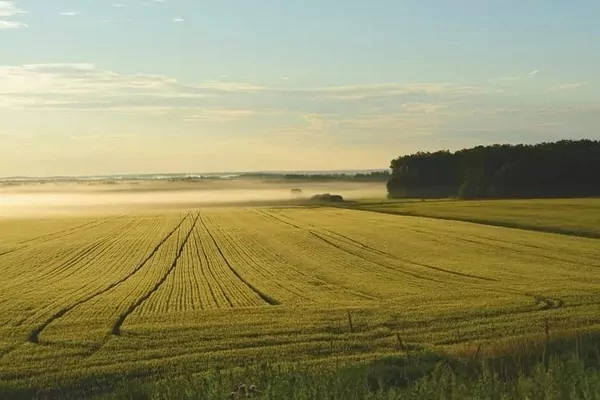 Ринок сільськогосподарських земель в Україні б'є рекорди