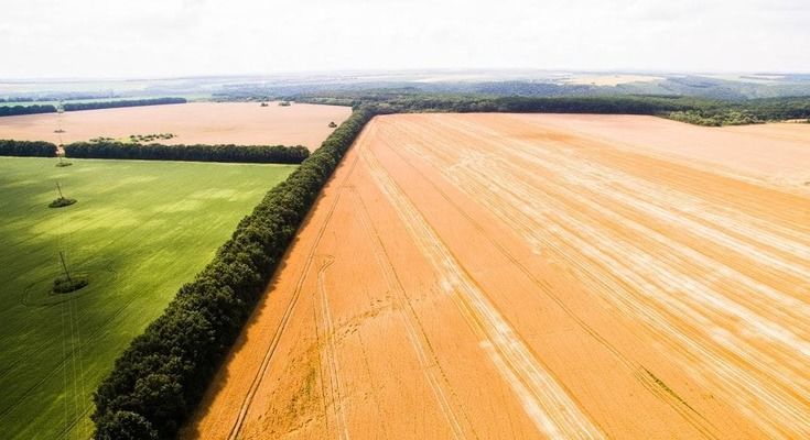 Почти 2 миллиарда гривен получили украинские фермеры от Всемирного банка – на что ушли деньги?