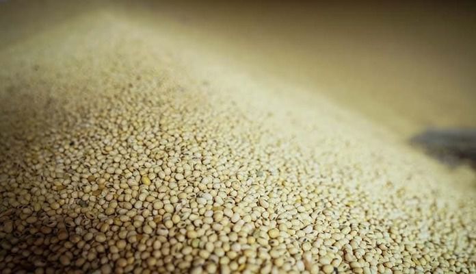 Завод в Киевской области будет перерабатывать рекордное количество сои