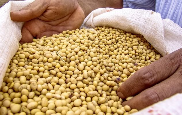 Дожди в Аргентине дают шанс на спасение урожая сои