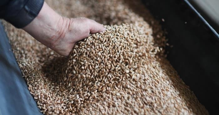 Евросоюз сокращает импорт зерна