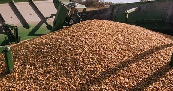 Бразилия готовится собрать рекордный урожай зерновых