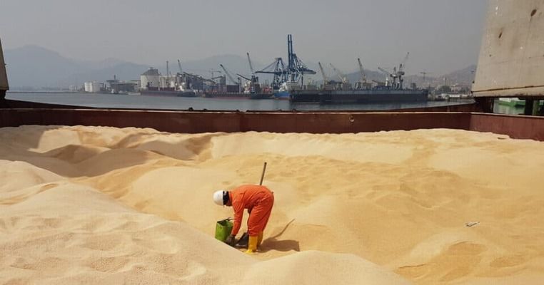 Ціни на експортні агротовари в Україні зросли: як працює новий механізм мінімальних цін?