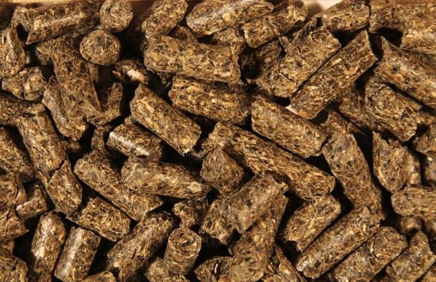 Україна увійшла до трійки лідерів постачальників соєвого шроту до ЄС