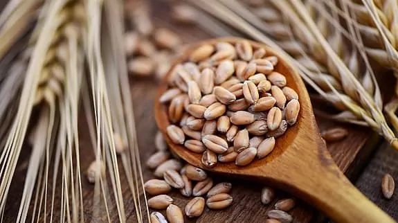 Украина продолжает наращивать агроэкспорт: что происходит на зерновом рынке?